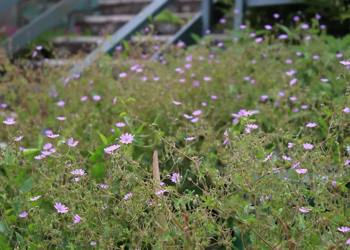 Vista Casa Demonti 펜션 티날레